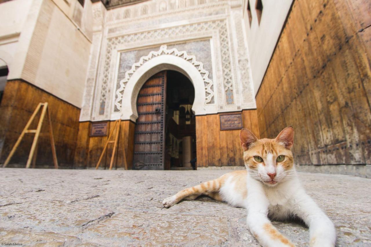 Riad Anis เฟส ภายนอก รูปภาพ